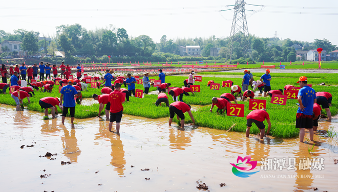 图片7.png 图片7.png