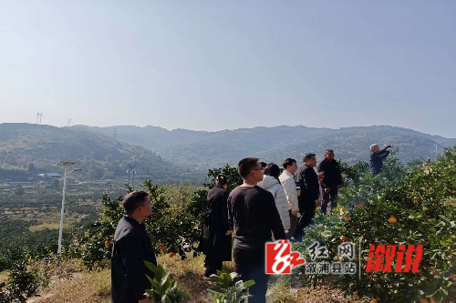 考察精品橙园.jpg
