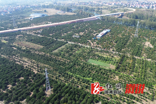 DJI_0904.jpg DJI_0904.jpg