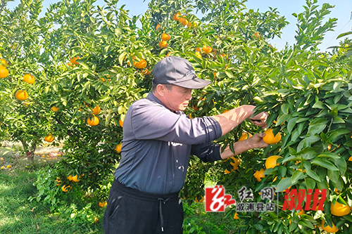 微信图片_20251202090256.jpg 微信图片_20251202090256.jpg