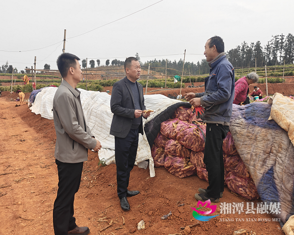 图片2.png 图片2.png