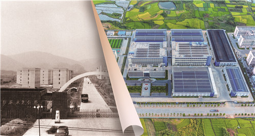 1764633744669411.jpg 对比照4.jpg