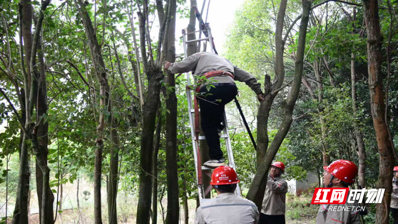 微信图片_20251202173157_300_223.jpg 微信图片_20251202173157_300_223.jpg