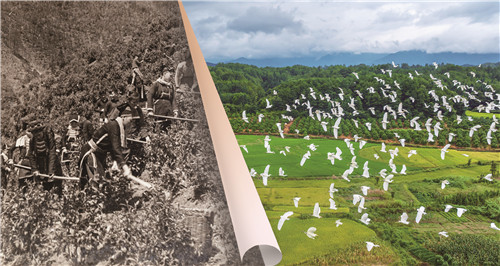 1764633798534170.jpg 对比照5.jpg