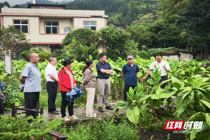 图片3 - 副本.png