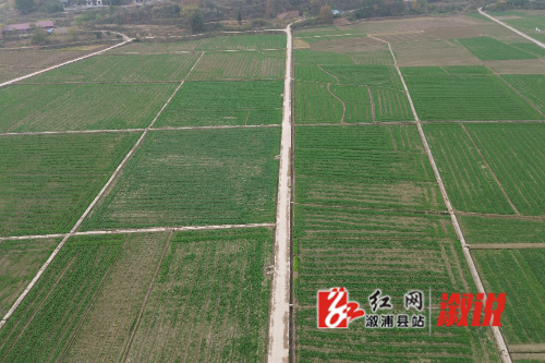 DJI_0086.JPG DJI_0086.JPG