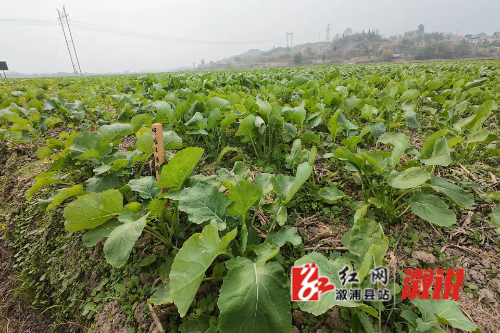 微信图片_20251202200305_962_144.png 微信图片_20251202200305_962_144.png