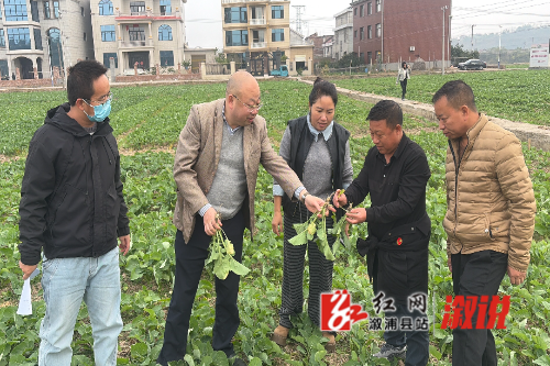 微信图片_20251202200334_963_144.jpg 微信图片_20251202200334_963_144.jpg