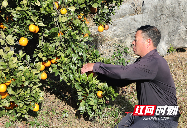 9d3aa76a87e045f988a2c92e8b323686.jpg 9d3aa76a87e045f988a2c92e8b323686.jpg