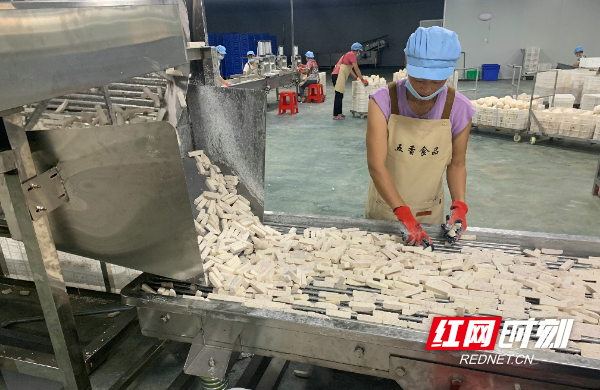 香芋精深加工助企降本增效(图).jpg 香芋精深加工助企降本增效(图).jpg
