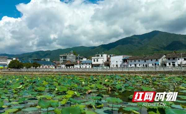 微信图片_20231008082217.jpg 微信图片_20231008082217.jpg