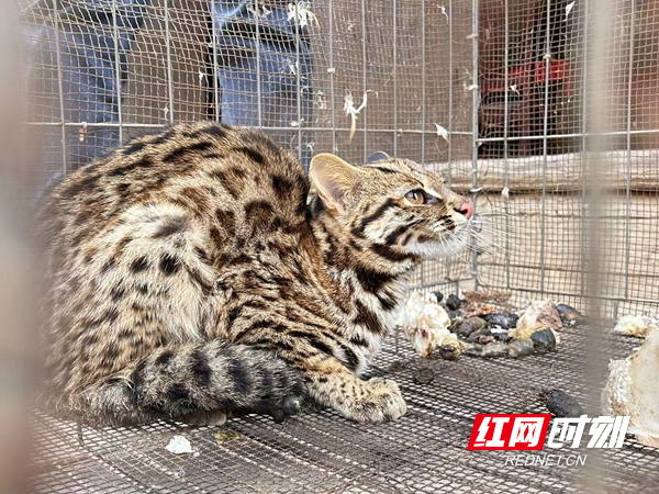 微信图片_20251203095933_30_1082.jpg 微信图片_20251203095933_30_1082.jpg