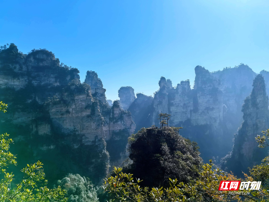 微信图片_20251203150027_1102_214.jpg 微信图片_20251203150027_1102_214.jpg