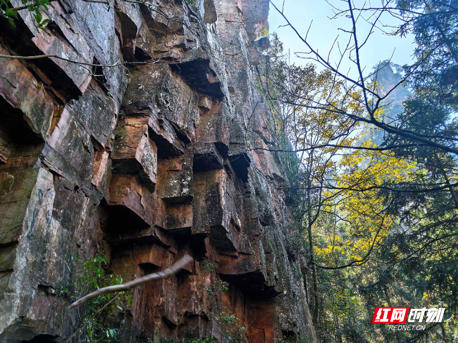 微信图片_20251203150028_1103_214.jpg 微信图片_20251203150028_1103_214.jpg