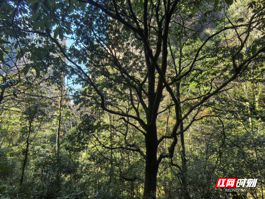 微信图片_20251203150029_1104_214.jpg 微信图片_20251203150029_1104_214.jpg