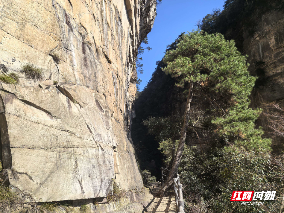 微信图片_20251203150031_1106_214.jpg 微信图片_20251203150031_1106_214.jpg