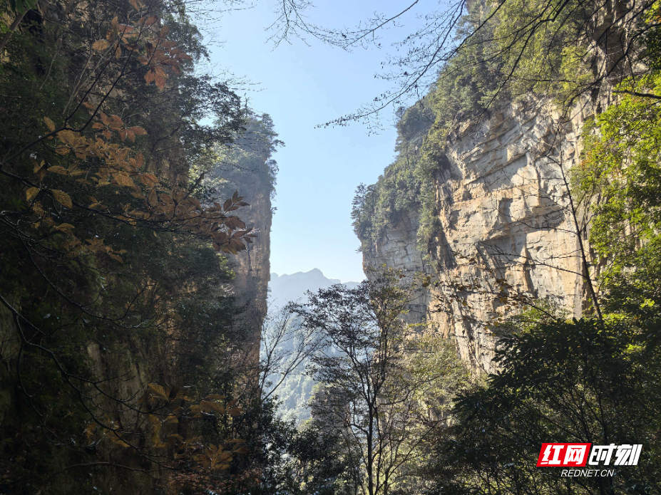 微信图片_20251203150030_1105_214.jpg 微信图片_20251203150030_1105_214.jpg