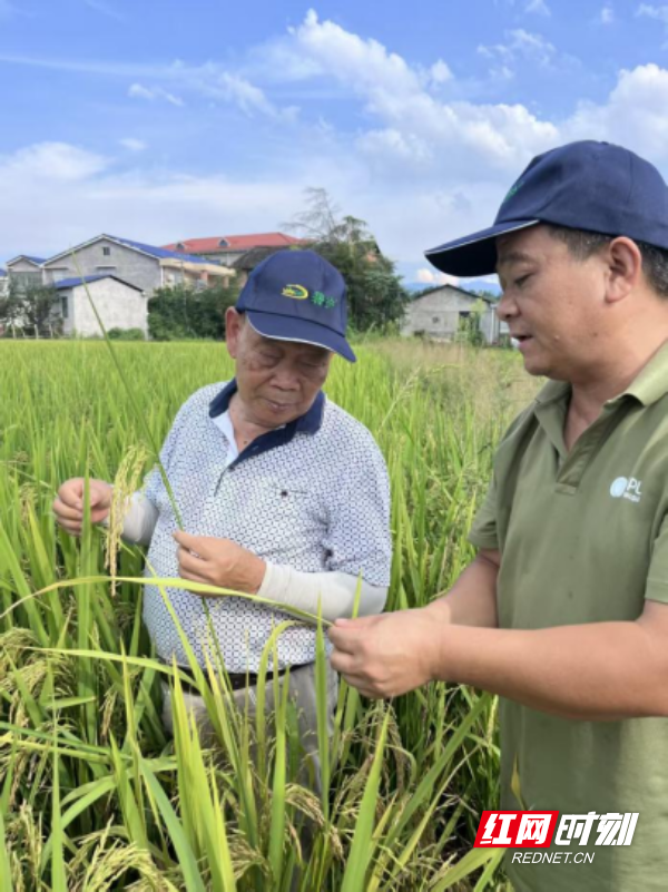 图片2.png 图片2.png