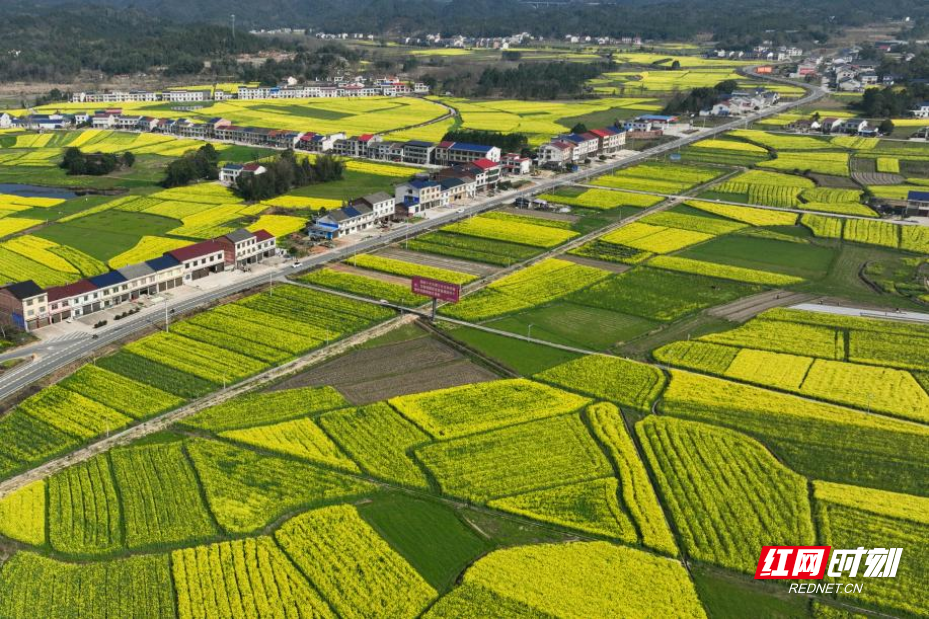 图片6.png 图片6.png