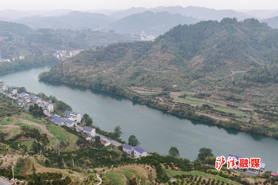 潭溪镇椪柑4.jpg 潭溪镇椪柑4.jpg