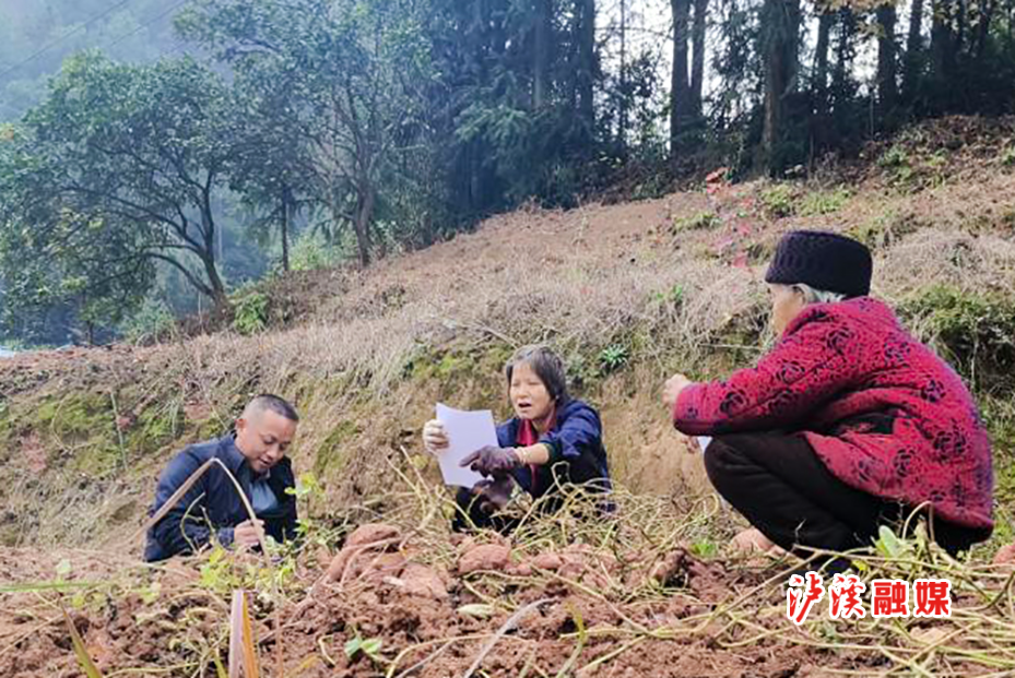 石榴坪乡“敲门行动.jpg 石榴坪乡“敲门行动.jpg