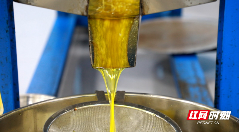 微信图片_2025-12-03_114057_736.jpg 微信图片_2025-12-03_114057_736.jpg