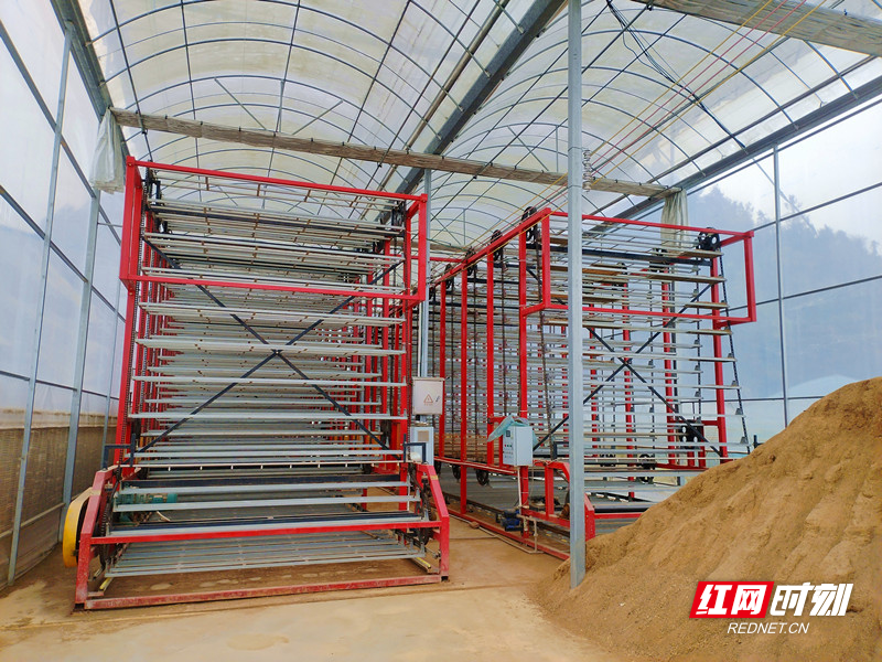 微信图片_20251204161306_副本_副本.jpg 微信图片_20251204161306_副本_副本.jpg