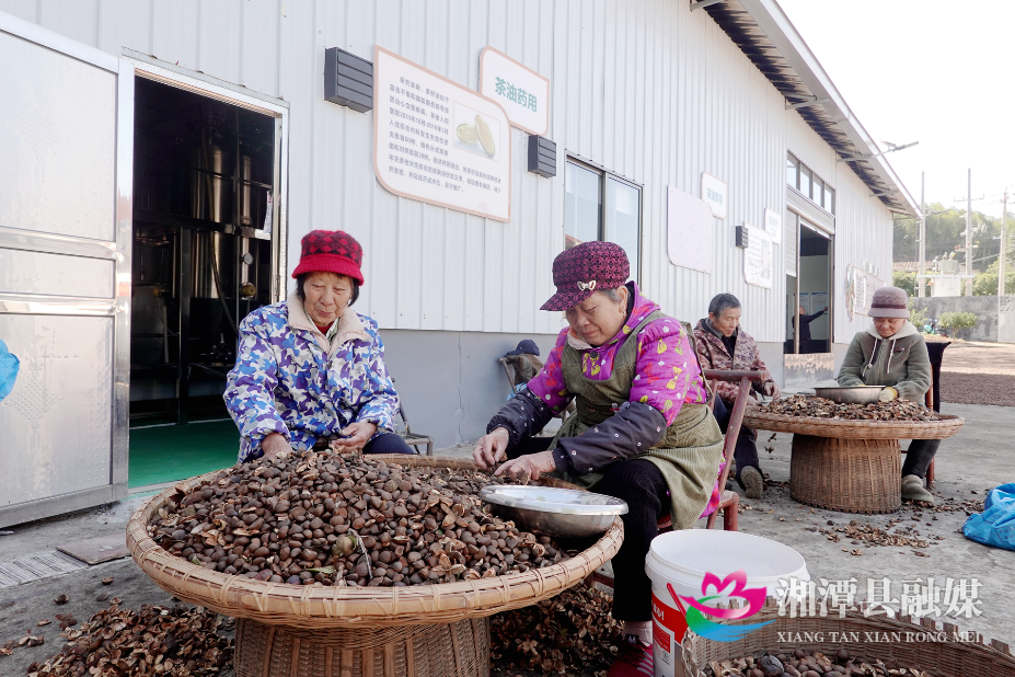 图片3.png 图片3.png