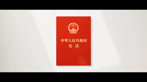 良法善治｜与宪法同行