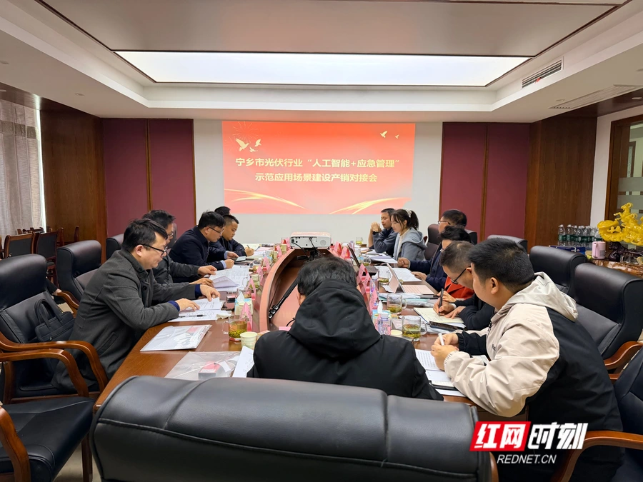 政府搭台，AI解题！宁乡这样破题光伏行业“成长的烦恼”