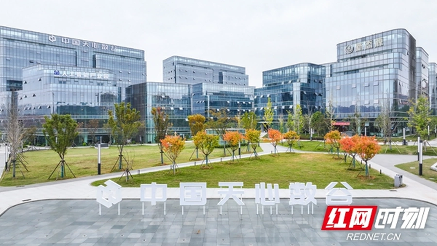 向南发力！天心招商凭实干“圈粉”，企业扎堆来