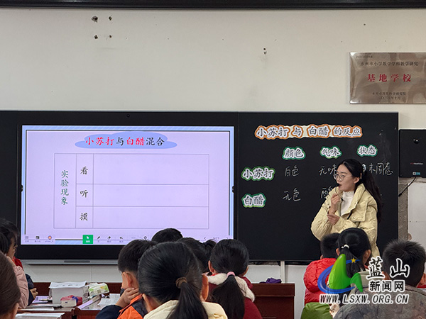 赤蓝桥小学：深耕科学教研，赋能五育并举.jpg