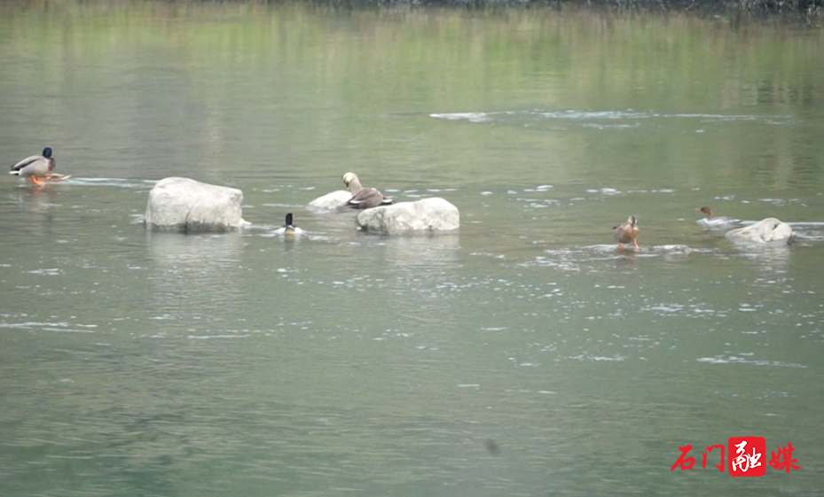 石门仙阳湖：落日熔金映千岛 湖光山色醉游人2.png
