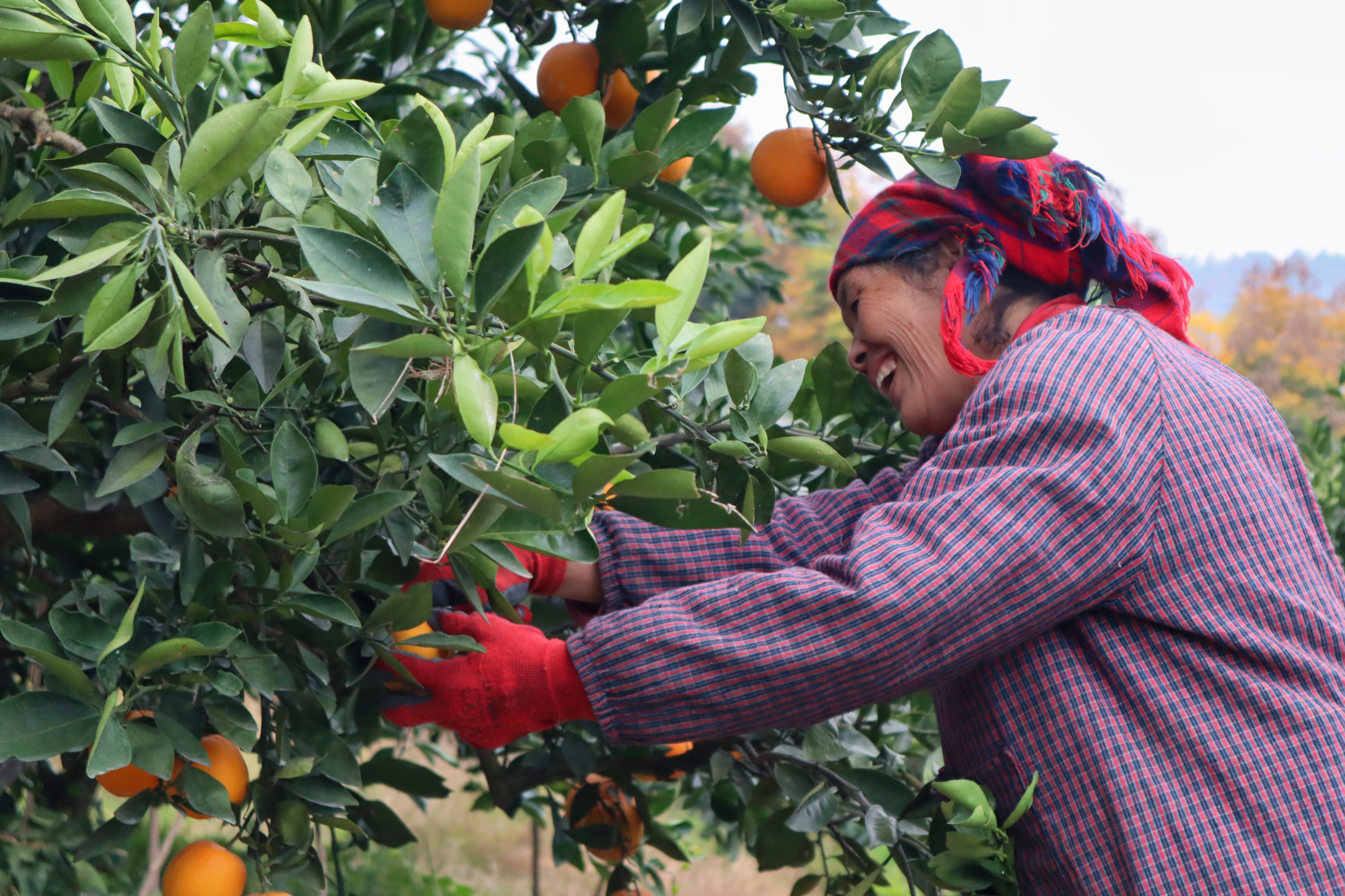 湖南邵阳：千年古城“千变万化”