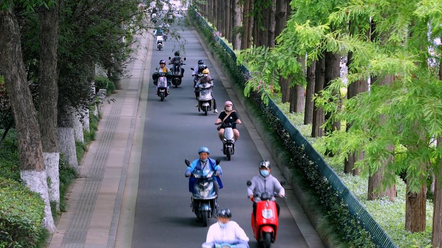 我可以带孩子吗？是否应该安装金属鞍座？电动