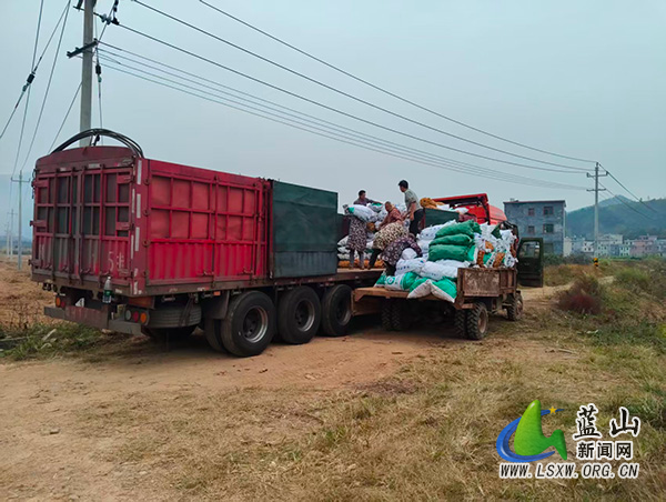 蓝山:种养结合打开群众“致富路”.jpg 蓝山:种养结合打开群众“致富路”.jpg