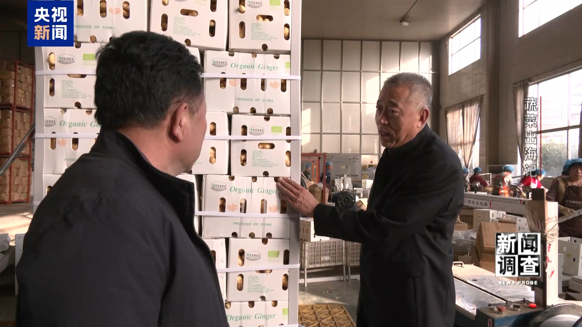 新闻调查丨从追标准到制定标准，“蔬菜出口第