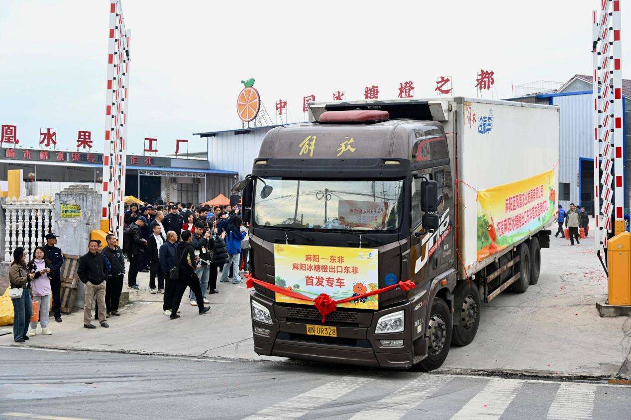 c296cfaa9e7b016836c844b01c9dd7f7