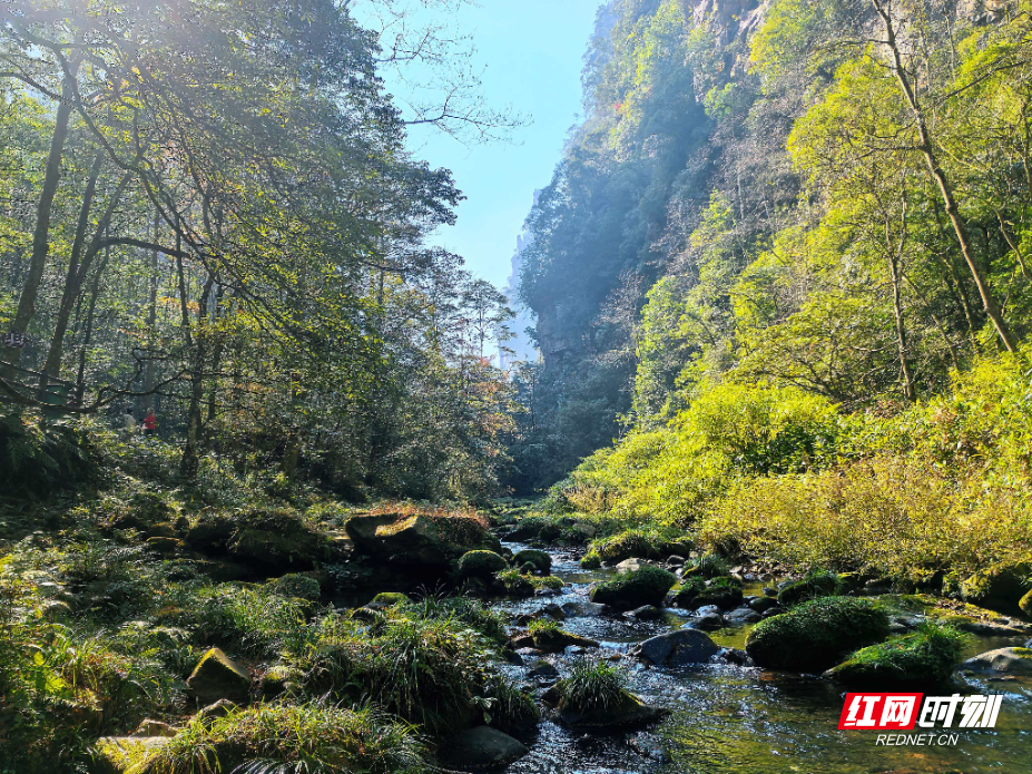 微信图片_20251207084226_258_112.jpg 微信图片_20251207084226_258_112.jpg