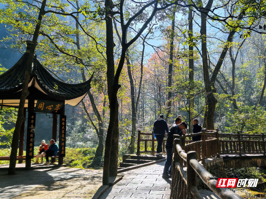 微信图片_20251207084224_256_112.jpg 微信图片_20251207084224_256_112.jpg