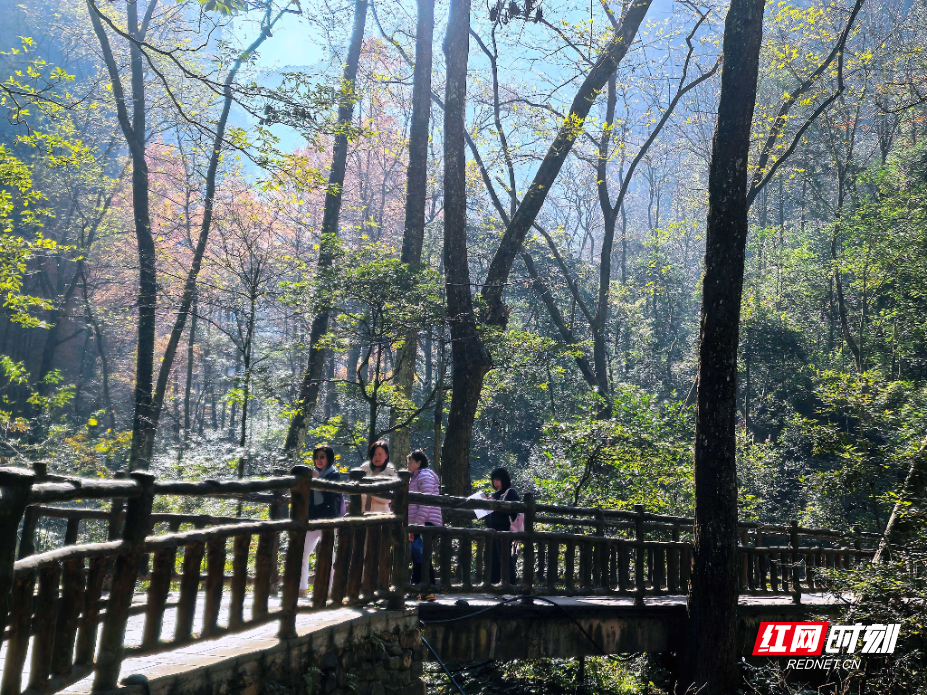 微信图片_20251207084225_257_112.jpg 微信图片_20251207084225_257_112.jpg