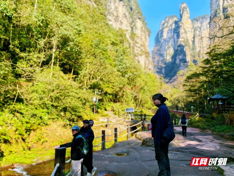 微信图片_20251207084223_255_112.jpg 微信图片_20251207084223_255_112.jpg