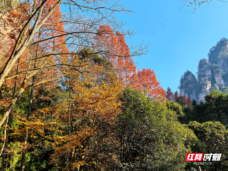 微信图片_20251207085305_259_112.jpg 微信图片_20251207085305_259_112.jpg