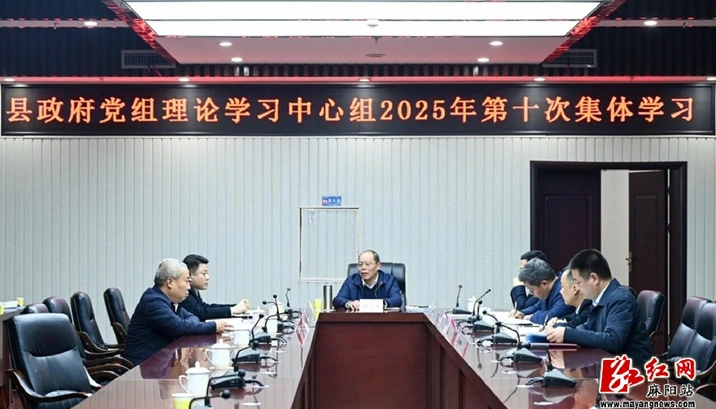 县政府党组理论学习中心组举行2025年第10次集体学习 胡宏林主持并讲话