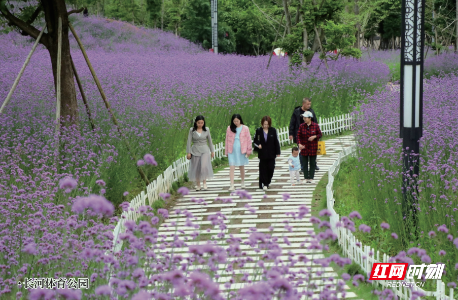 长河公园 (1).png