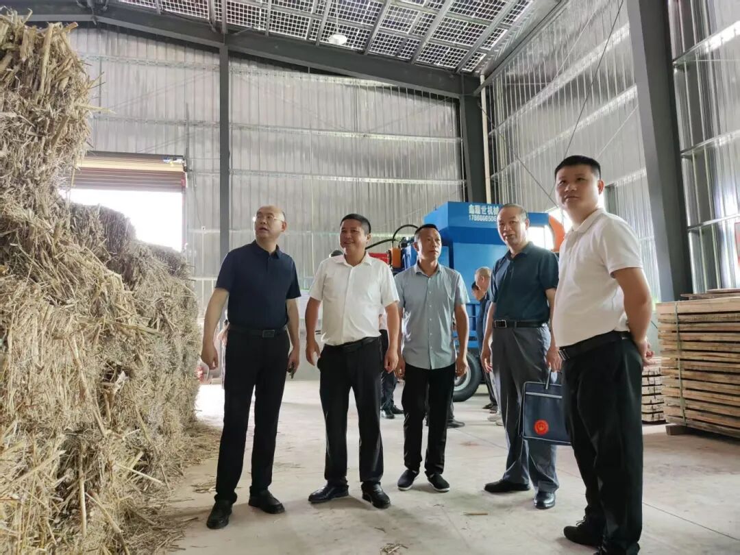 人大代表深入厂房排查秸秆处理区域安全生产隐患.jpg