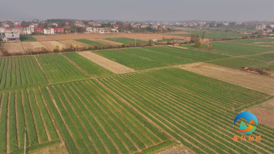 Still1209_00003.jpg Still1209_00003.jpg