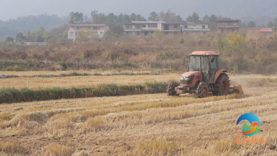 Still1209_00002.jpg Still1209_00002.jpg