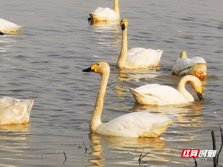 图片15.png 图片15.png