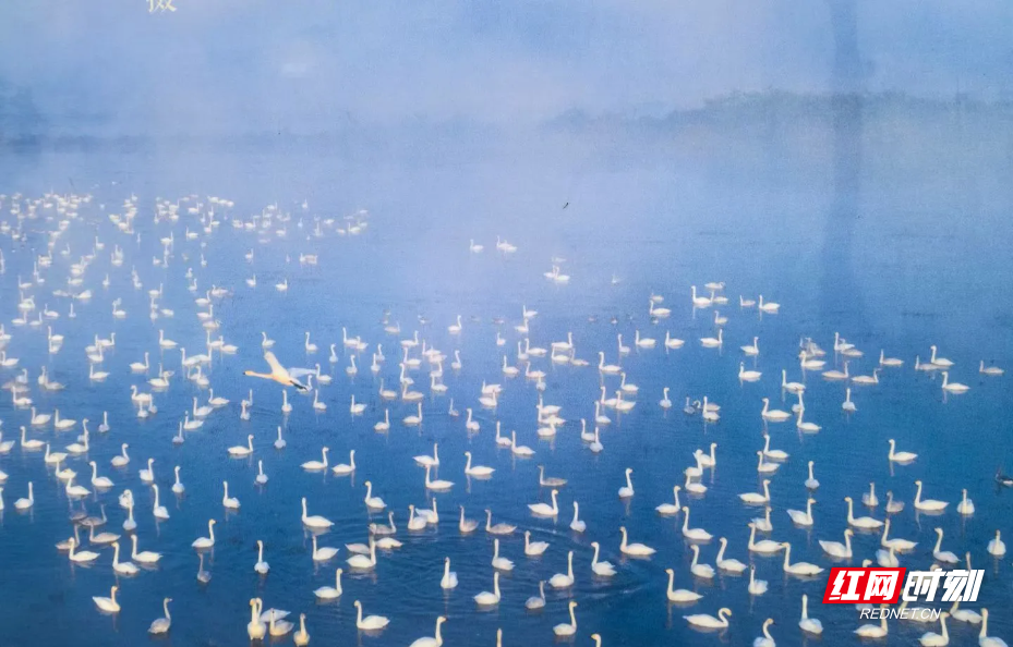 图片14.png 图片14.png